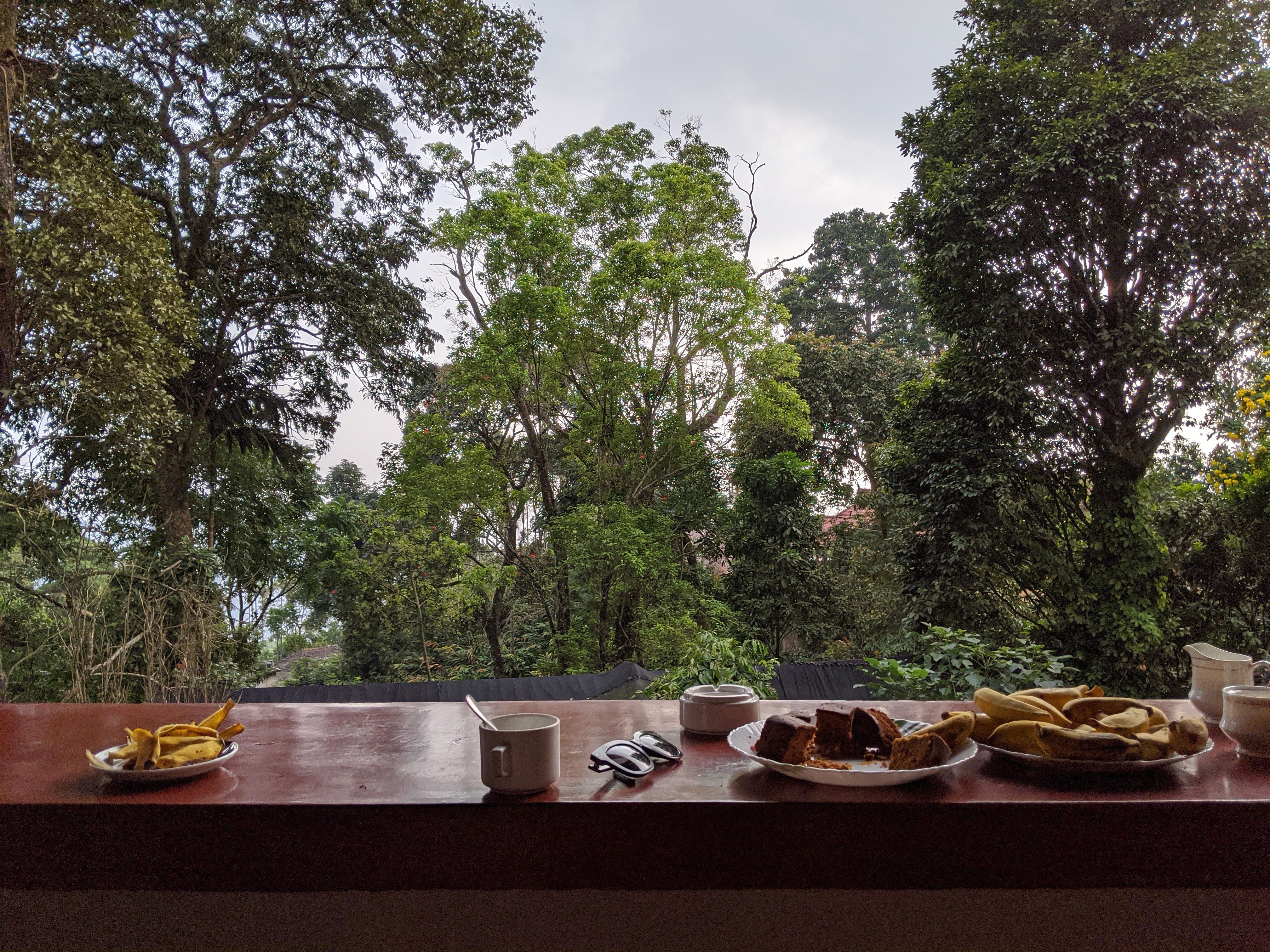 A spread of banana fritters, spiced cake and coffee on a balcony ledge, looking out over the treetops